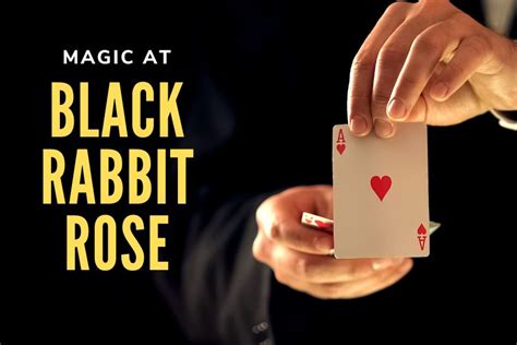 Discover the Fascination of Black Rabbit Rose Magic